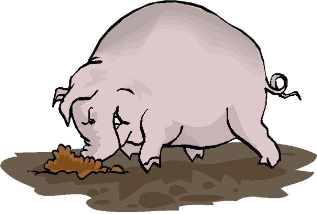 Pigs clip art