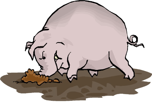 Pigs clip art