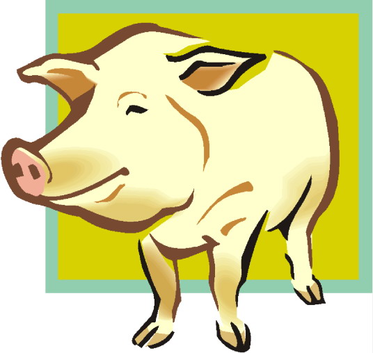 Pigs clip art