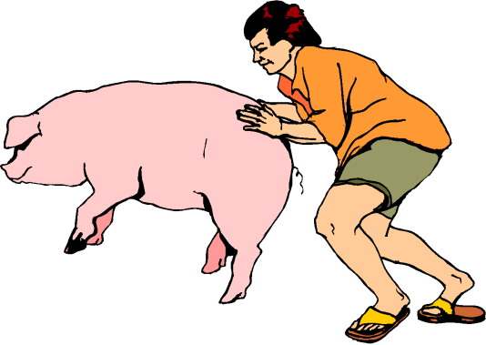 Pigs clip art