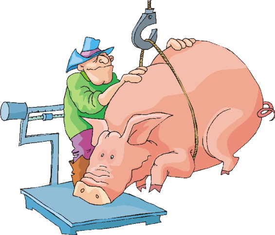 Pigs clip art