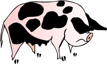 Pigs clip art