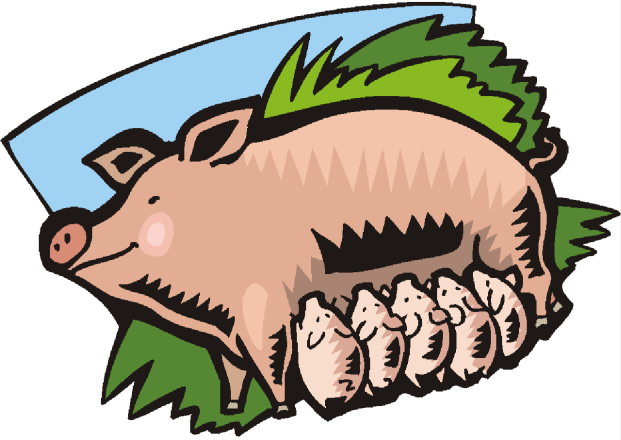 Pigs clip art