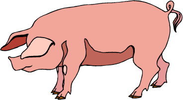 Pigs clip art