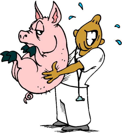 Pigs clip art