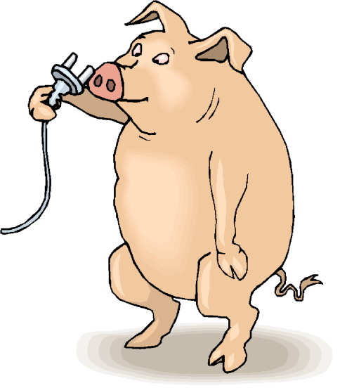 Pigs clip art