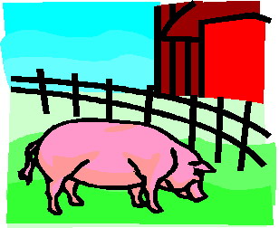 Pigs clip art