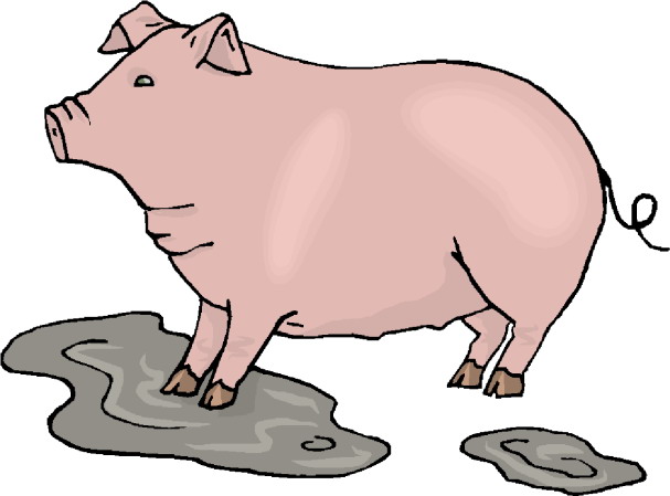 Pigs clip art