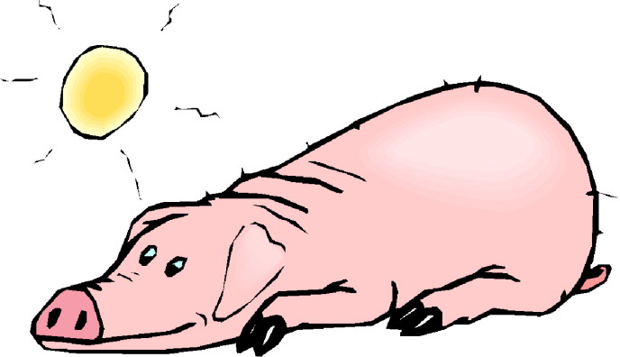 Pigs clip art