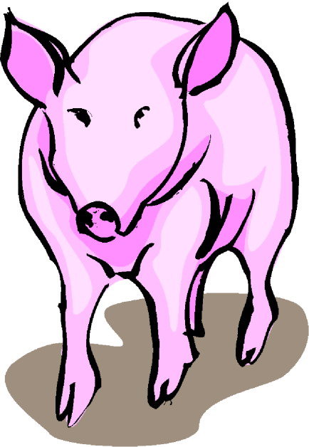 Pigs clip art