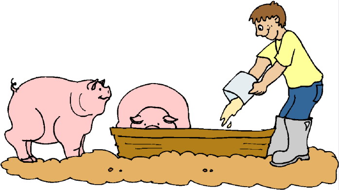 Pigs clip art