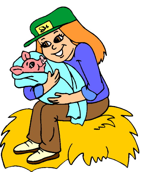 Pigs clip art