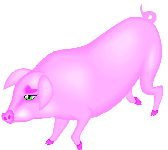 Pigs clip art