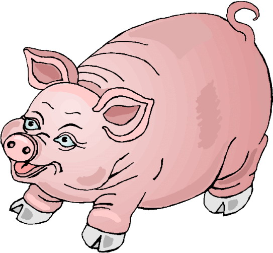 Pigs clip art