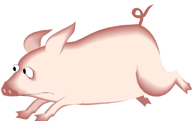 Pigs clip art