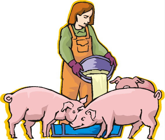 Pigs clip art