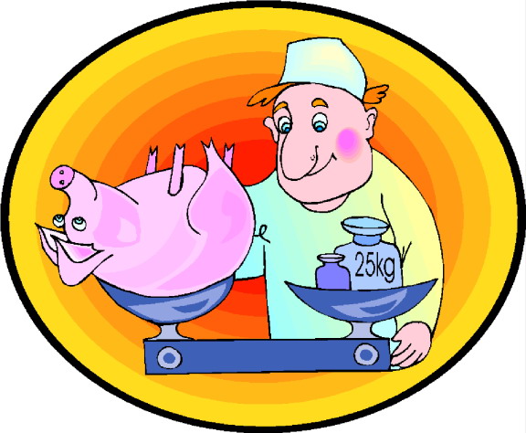 Pigs clip art