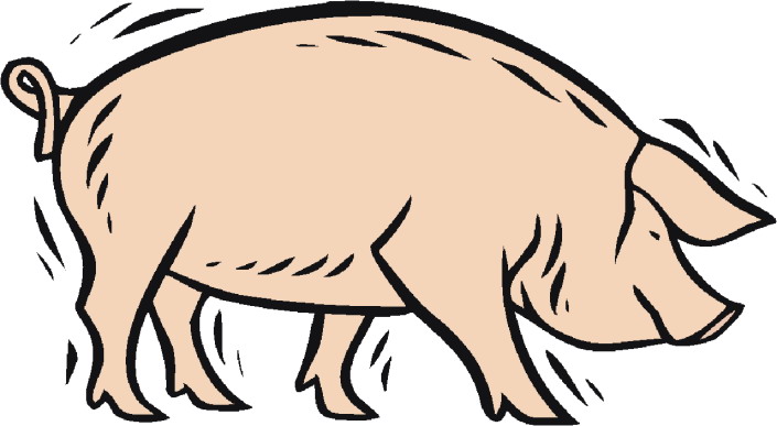 Pigs clip art