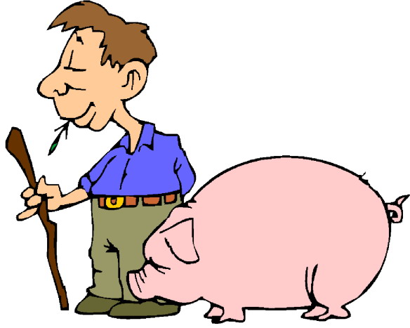 Pigs clip art