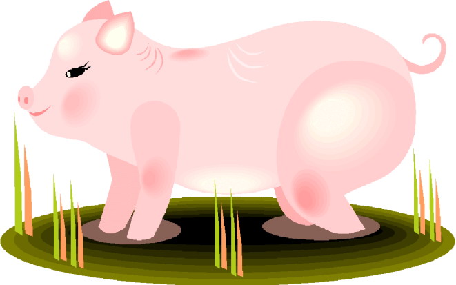 Pigs clip art