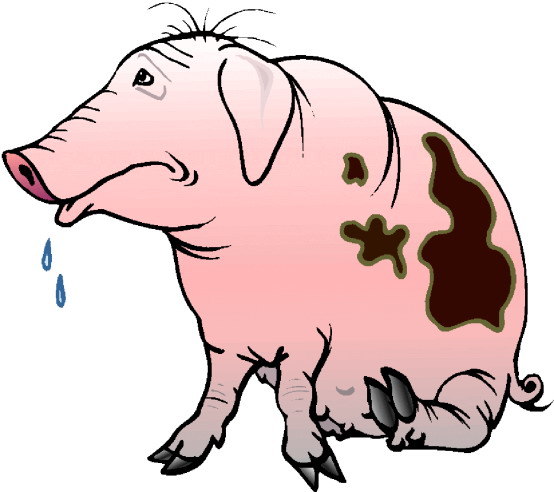 Pigs clip art