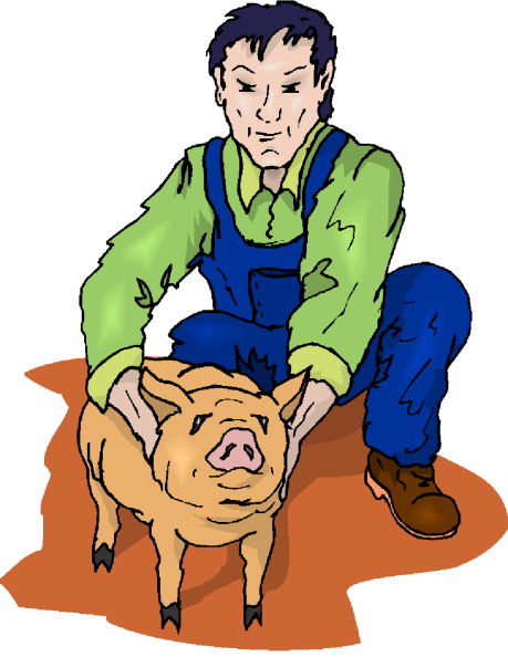 Pigs clip art