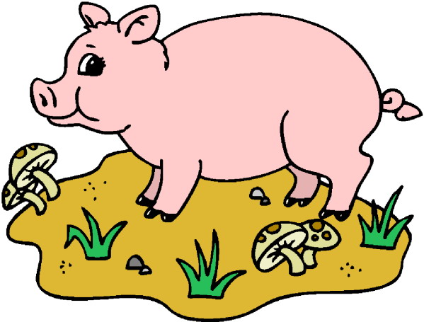 Pigs clip art