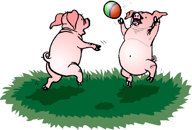 Pigs clip art