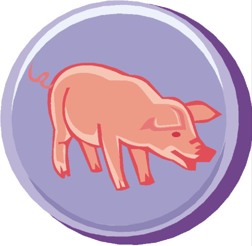 Pigs clip art