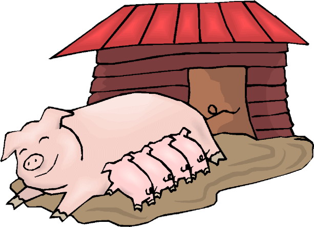 Pigs clip art