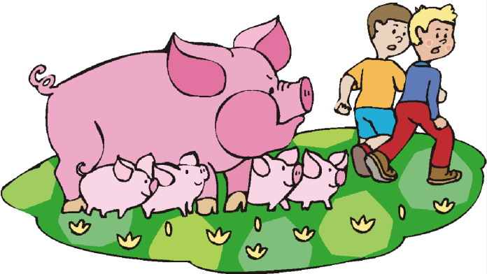 Pigs clip art