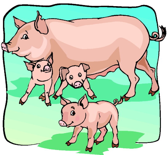 Pigs clip art