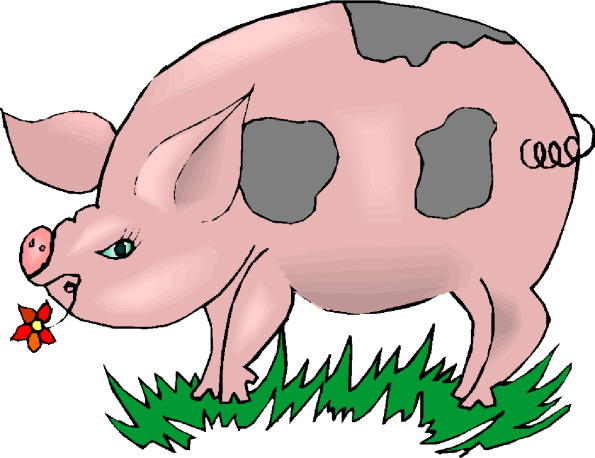 Pigs clip art