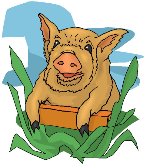 Pigs clip art