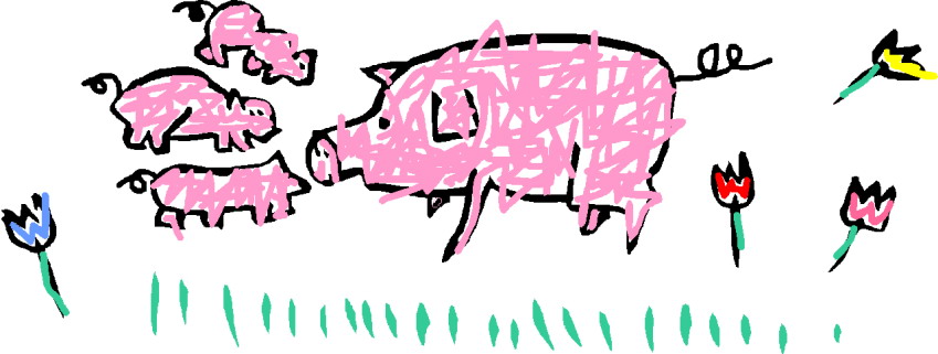 Pigs clip art