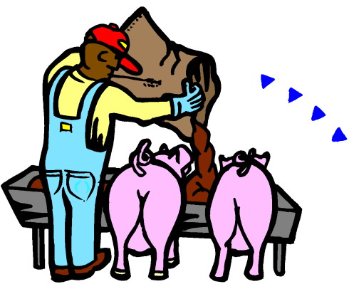 Pigs clip art