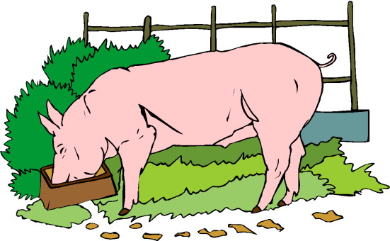 Pigs clip art