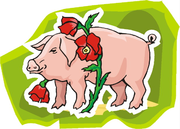 Pigs clip art