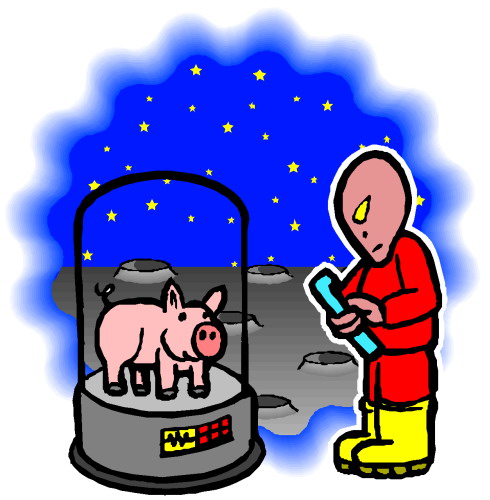 Pigs clip art