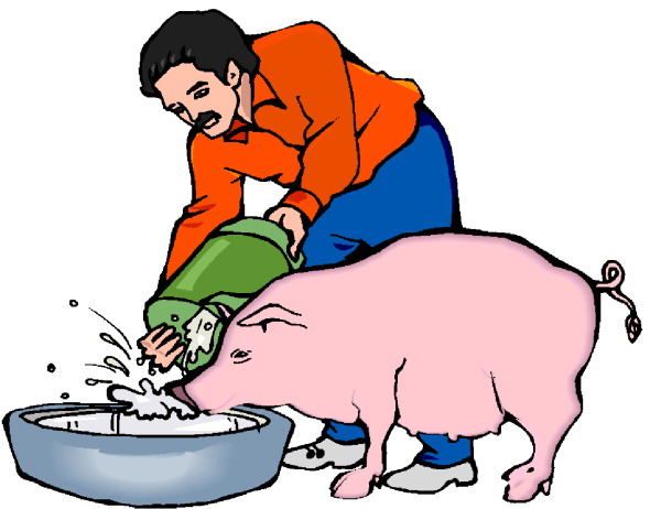 Pigs clip art