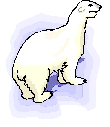 Polar bears