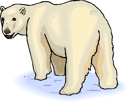 Polar bears