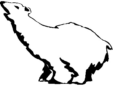 Polar bears clip art