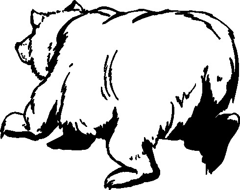 Polar bears clip art