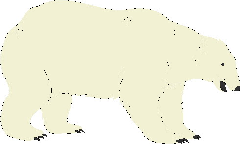 Polar bears clip art