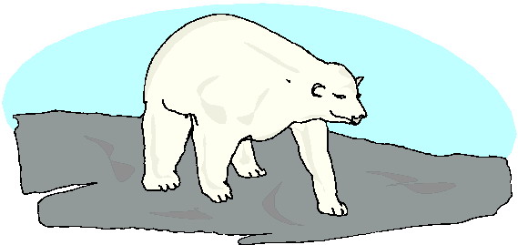 Polar bears clip art