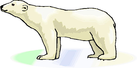 Polar bears clip art