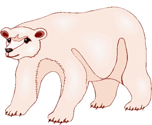 Polar bears clip art