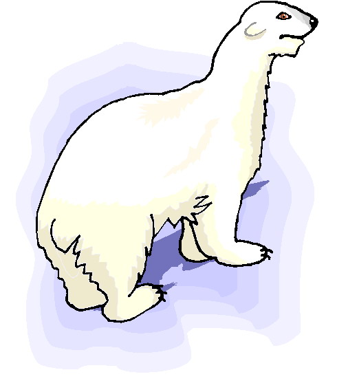 Polar bears clip art