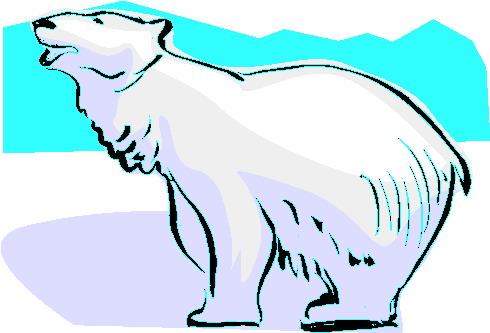 Polar bears clip art